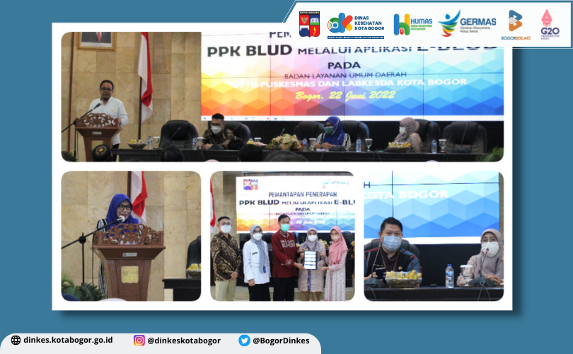 Pemantapan Penerapan PPK BLUD Melalui Apikasi E-BLUD di UPTD Puskesmas dan Labkesda