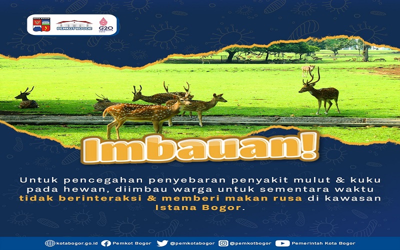 Masyarakat Diimbau Untuk Sementara Waktu Tidak Memberi Makan Rusa Istana Bogor